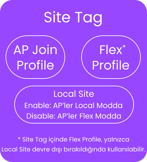 Site Tag Konfigürasyon Görsel Şeması